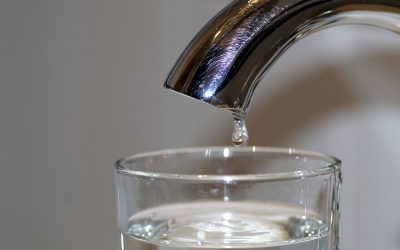 ¿Cómo podemos ahorrar agua en el trabajo?